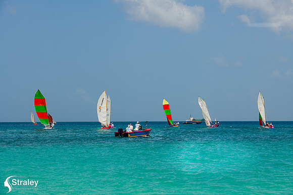 Grenada Workboat Regatta  2020 02 01 - 0297