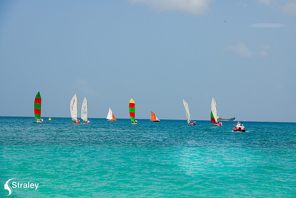 Grenada Workboat Regatta  2020 02 01 - 0301