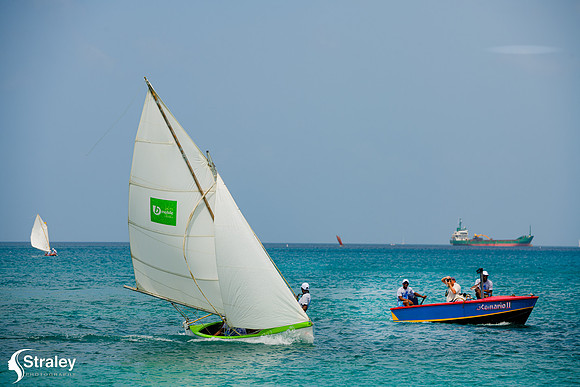 Grenada Workboat Regatta  2020 02 01 - 0311