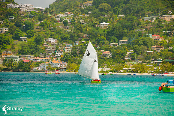 Grenada Workboat Regatta  2020 02 01 - 0338