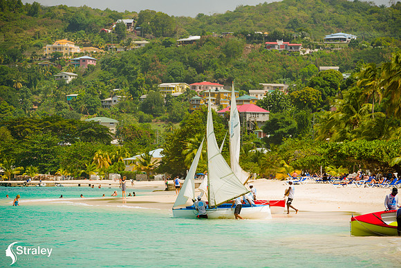 Grenada Workboat Regatta  2020 02 01 - 0344