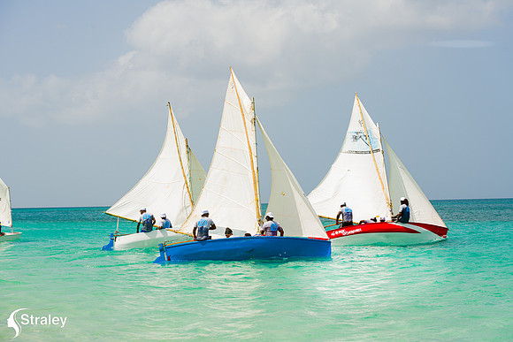 Grenada Workboat Regatta  2020 02 01 - 0389