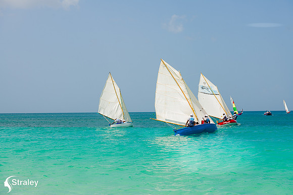Grenada Workboat Regatta  2020 02 01 - 0392