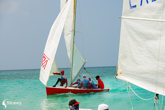 Grenada Workboat Regatta  2020 02 01 - 0414
