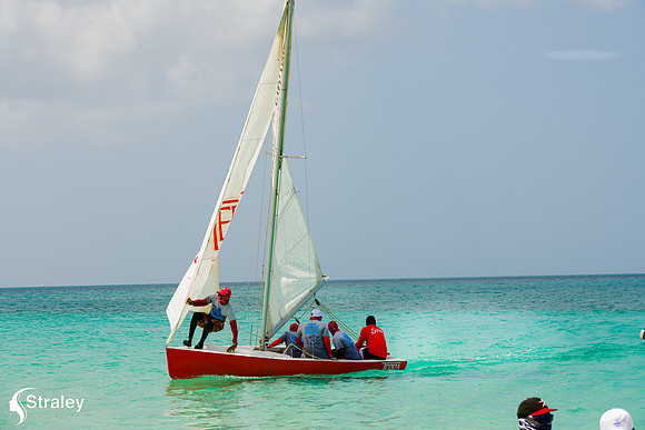 Grenada Workboat Regatta  2020 02 01 - 0416