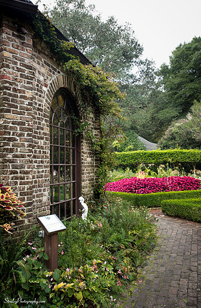 Elizabethan Gardens 2014 10 02 - 0010