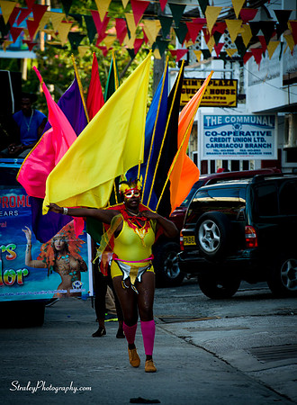 Carriacou 2015 02 16 - 0811