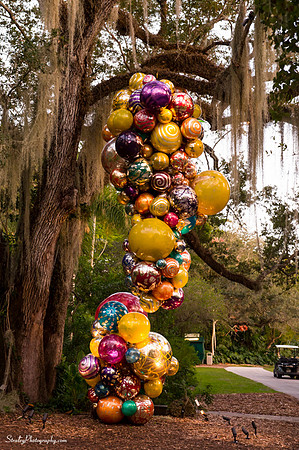 Chihuly at Fairchild Gardens  2015 01 08 - 0097