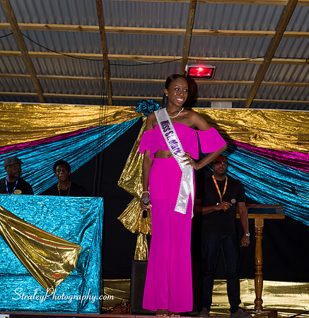 St Davids 2017 Carnival Launch 2017 06 04  - 0072
