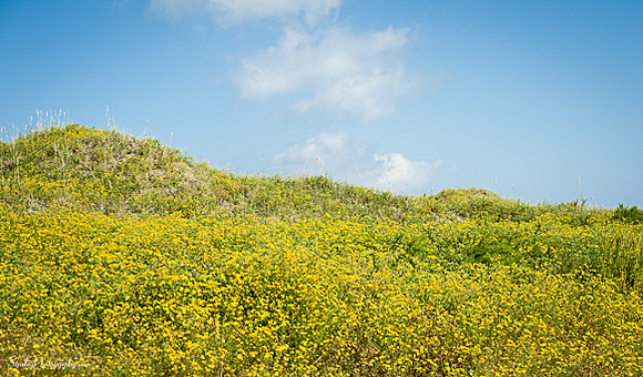 Ocracoke Island  2014 10 05 - 0029