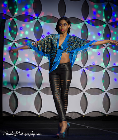 Southern Womens Show 2013 10 18 - 0946