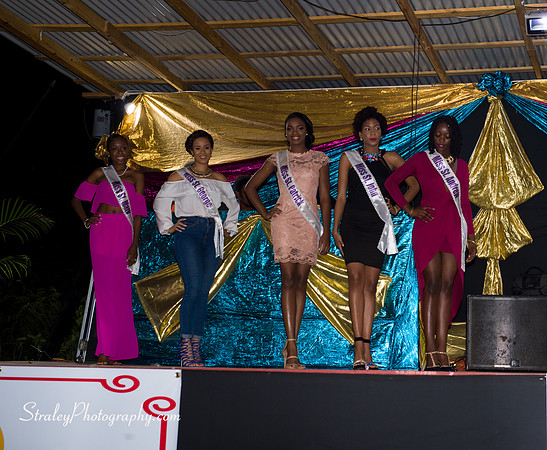 St Davids 2017 Carnival Launch 2017 06 04  - 0094