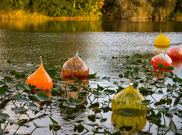 Chihuly at Fairchild Gardens  2015 01 08 - 0006
