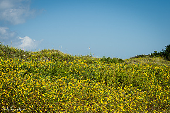Ocracoke Island  2014 10 05 - 0030