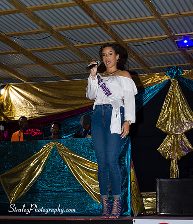 St Davids 2017 Carnival Launch 2017 06 04  - 0077