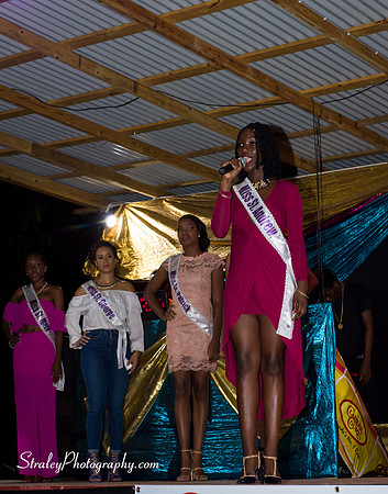 St Davids 2017 Carnival Launch 2017 06 04  - 0092