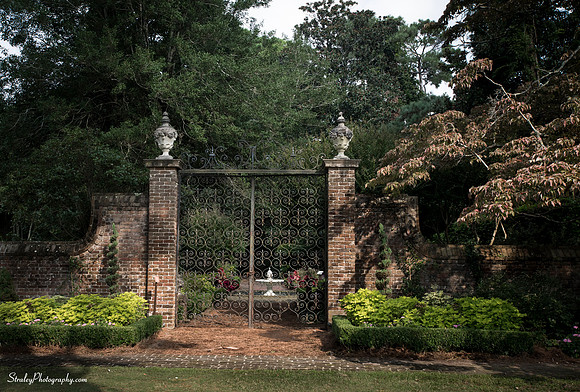 Elizabethan Gardens 2014 10 02 - 0173
