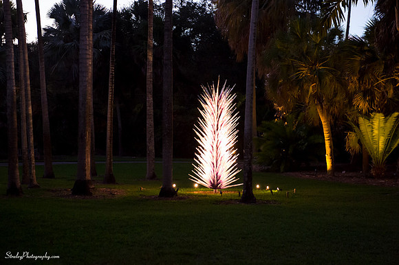 Chihuly at Fairchild Gardens  2015 01 08 - 0161
