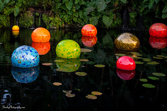 Chihuly at Fairchild Gardens  2015 01 08 - 0078-2