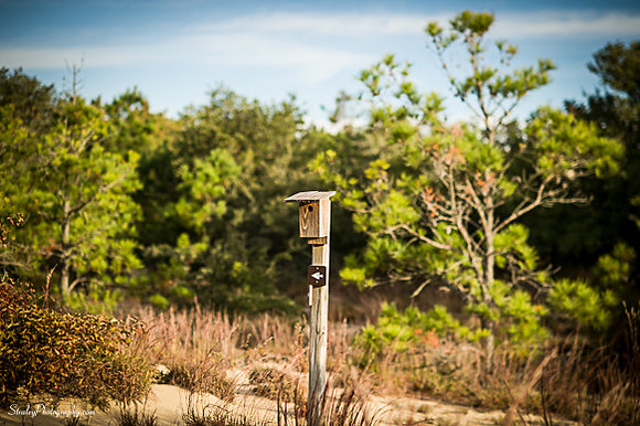 Jockeys Ridge  - 2014 10 24 - 0074
