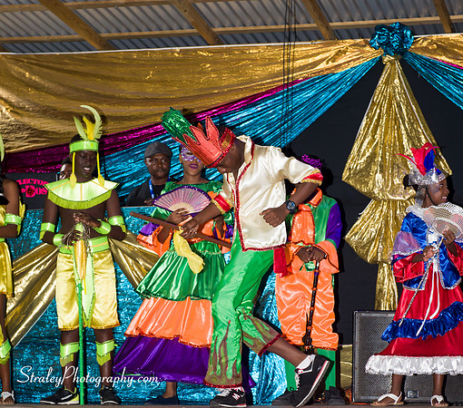St Davids 2017 Carnival Launch 2017 06 04  - 0141