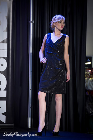 Southern Womens Show 2013 10 19 - 0119
