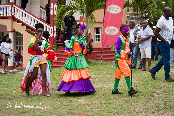 St Davids 2017 Carnival Launch 2017 06 04  - 0010