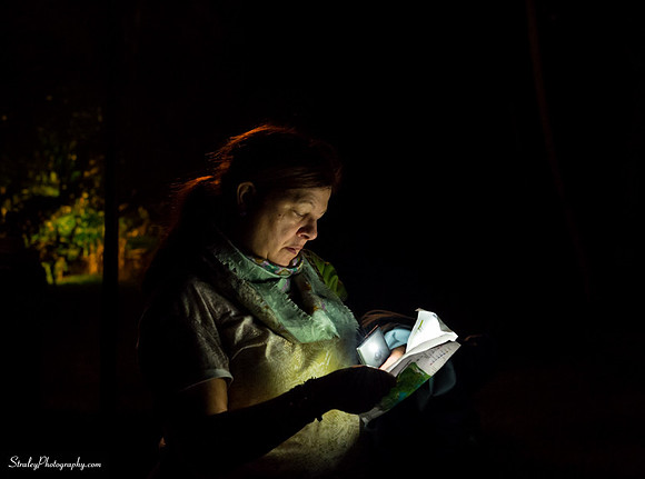 Chihuly at Fairchild Gardens  2015 01 08 - 0210