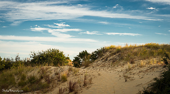 Jockeys Ridge  - 2014 10 24 - 0019