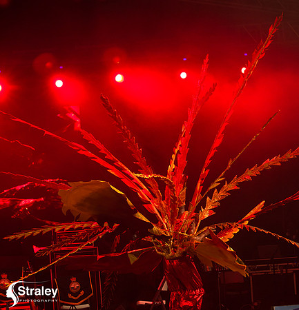 King and Queen of the Bands - 2018 08 13 - 0321