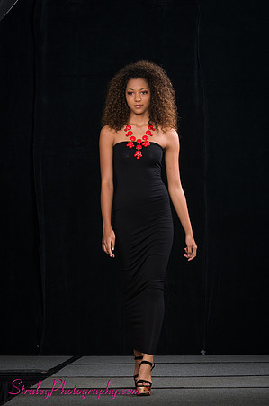 Arlenes Gowns Runway 2013 03 10 - 0368