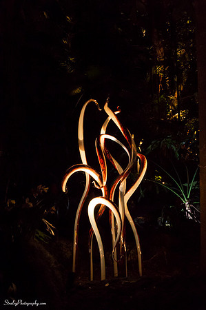 Chihuly at Fairchild Gardens  2015 01 08 - 0193