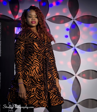Southern Womens Show 2013 10 18 - 0998