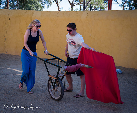 Seville 2013 10 10 - 0062