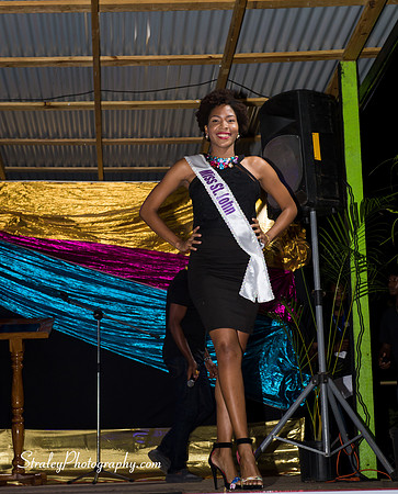 St Davids 2017 Carnival Launch 2017 06 04  - 0086