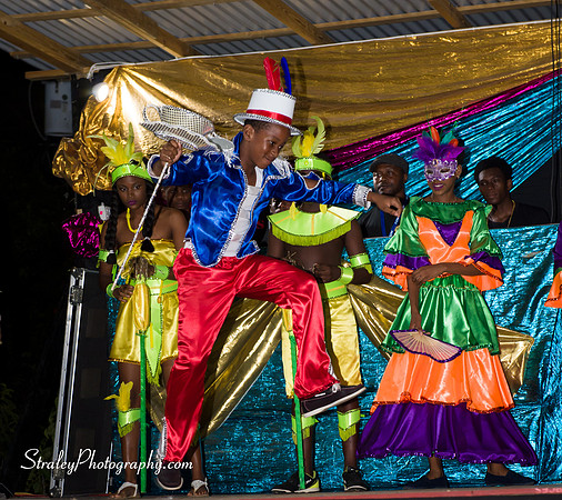 St Davids 2017 Carnival Launch 2017 06 04  - 0130