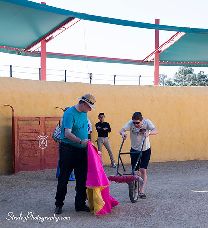Seville 2013 10 10 - 0037