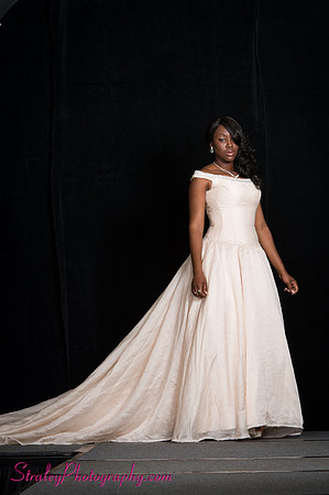 Arlenes Gowns Runway 2013 03 10 - 0522
