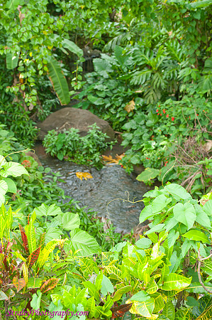 Grenada 11 2010  0327
