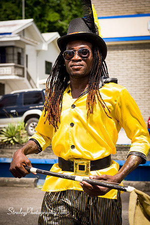 Parade of the Bands - Spicemas 2017 - 2017 08 14 - 0335