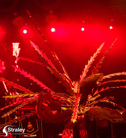 King and Queen of the Bands - 2018 08 13 - 0323
