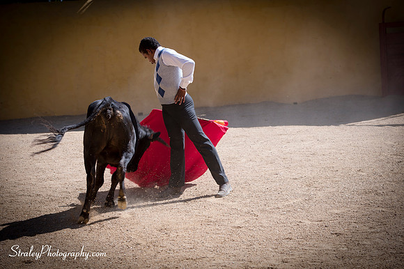 Seville 2013 10 10 - 0245