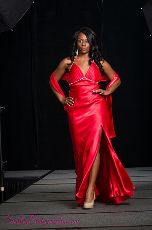 Arlenes Gowns Runway 2013 03 10 - 0251