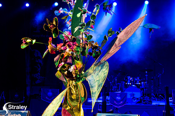 King and Queen of the Bands - 2018 08 13 - 0182