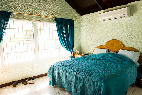 Grenada house condition - 2016 11 01 - 0018