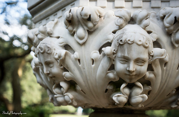 Elizabethan Gardens 2014 10 02 - 0107