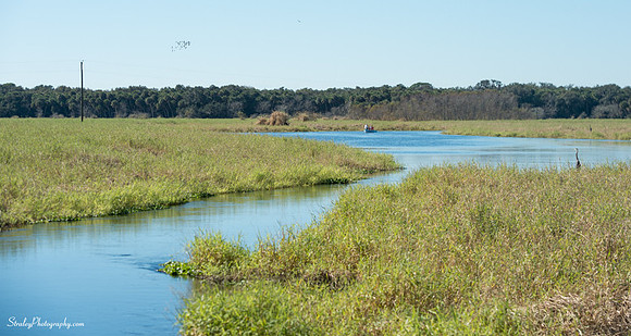 Myakka State Park  2014 12 15 - 0015