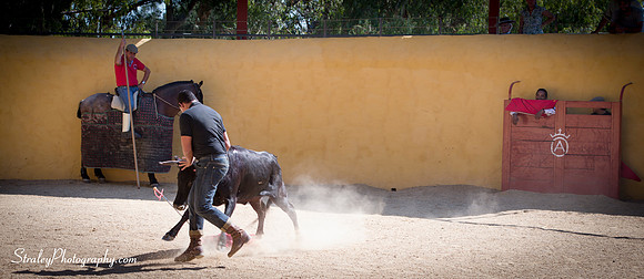 Seville 2013 10 10 - 0365