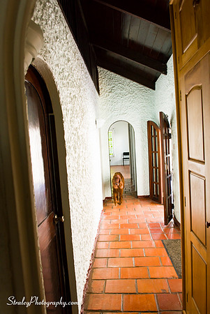 Grenada house condition - 2016 11 01 - 0016