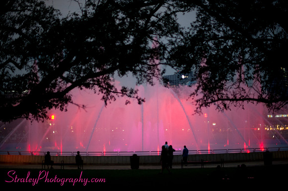 Friendship Fountain Opening Day 2011 06 18 -119